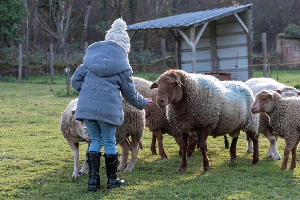 Maison Au Milieu Des Bois Et Des Animaux Jouy-le-Potier Esterno foto